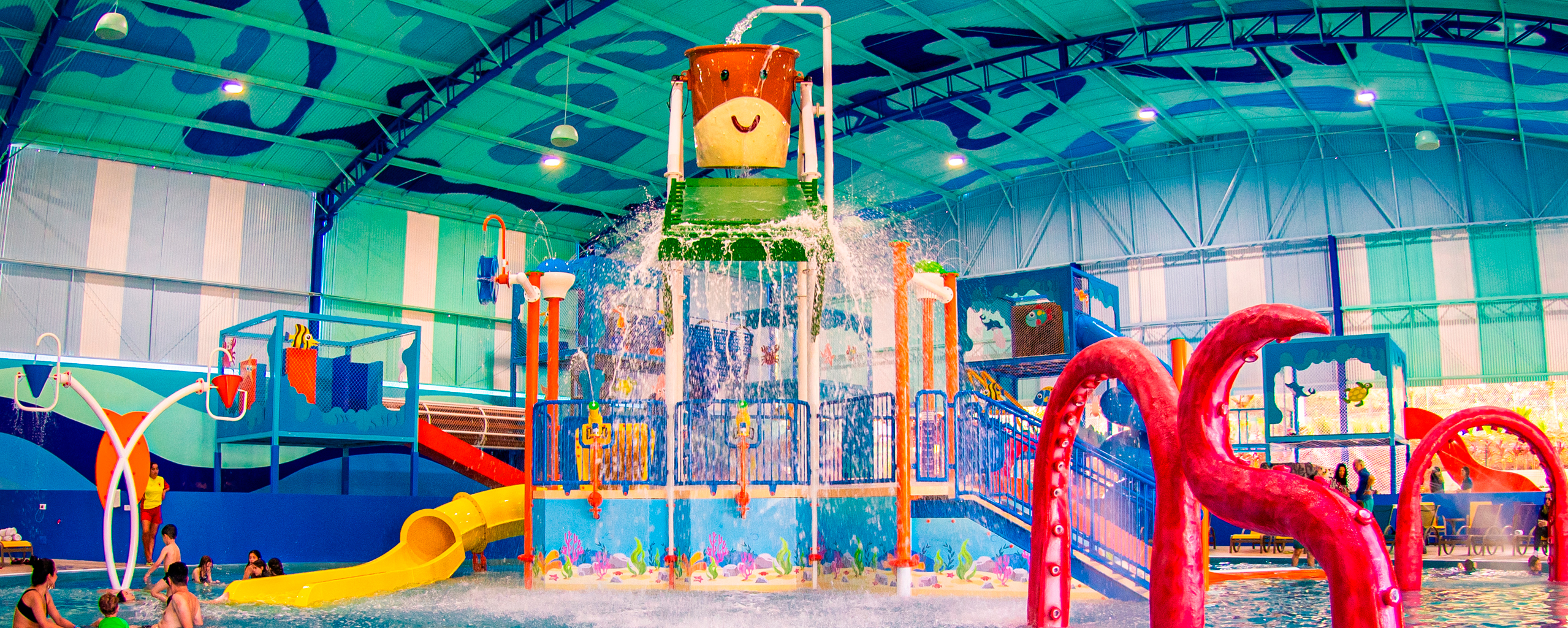 Acqua Kids
