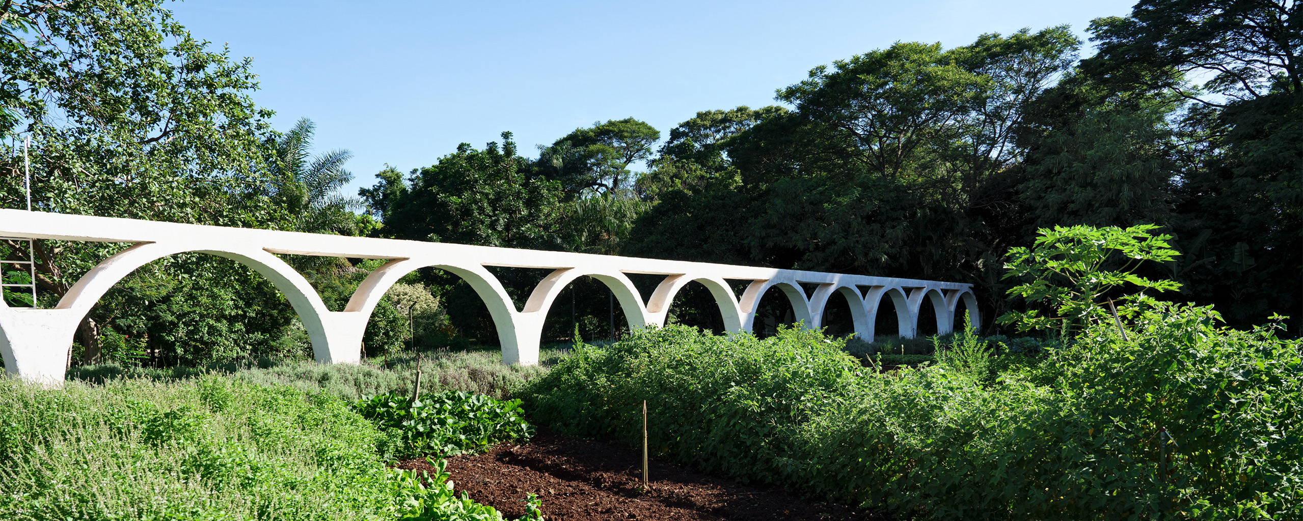 Horta e pomar orgânico